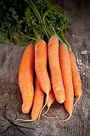 Характеристики витаминов