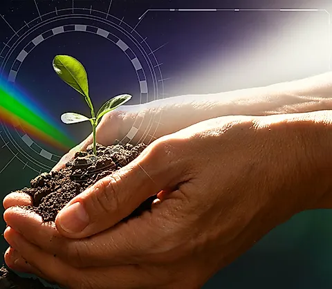 Микроэлементы