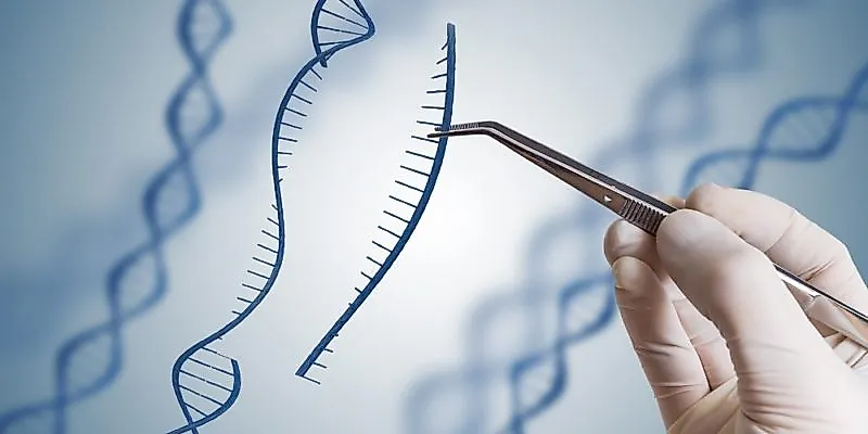 Гормон роста