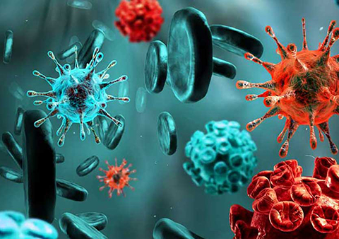 Возникновения токсемии