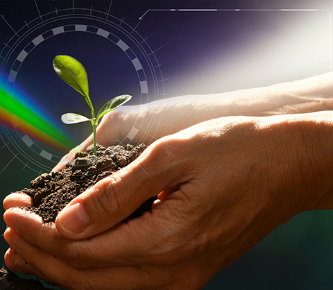 Микроэлементы